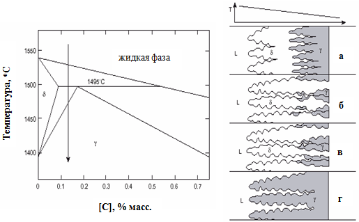Формирование первичной структуры затвердевания для перитектических сталей