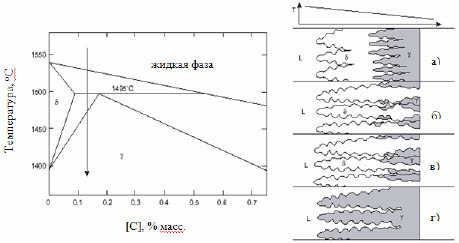 Формирование первичной структуры затвердевания для перитектических сталей