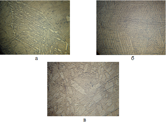 Микроструктура металла, х100
